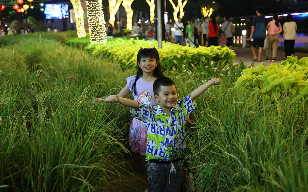 cận cảnh đường hoa phú mỹ hưng (10).JPG