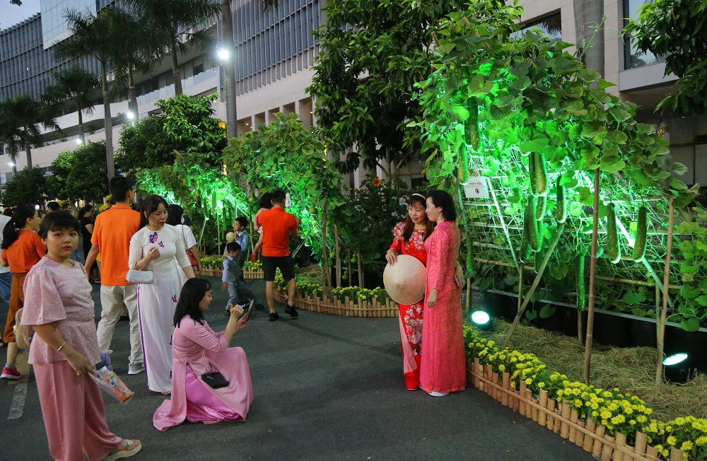 cận cảnh đường hoa phú mỹ hưng (9).JPG