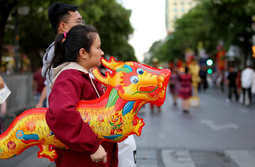 ngày cuối mở cửa đường hoa nguyễn huệ (16).JPG