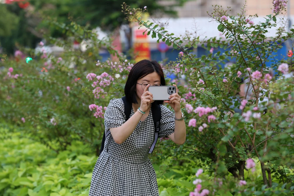 Điểm check-in mới toanh cho du khách ở trung tâm tphcm (10).JPG