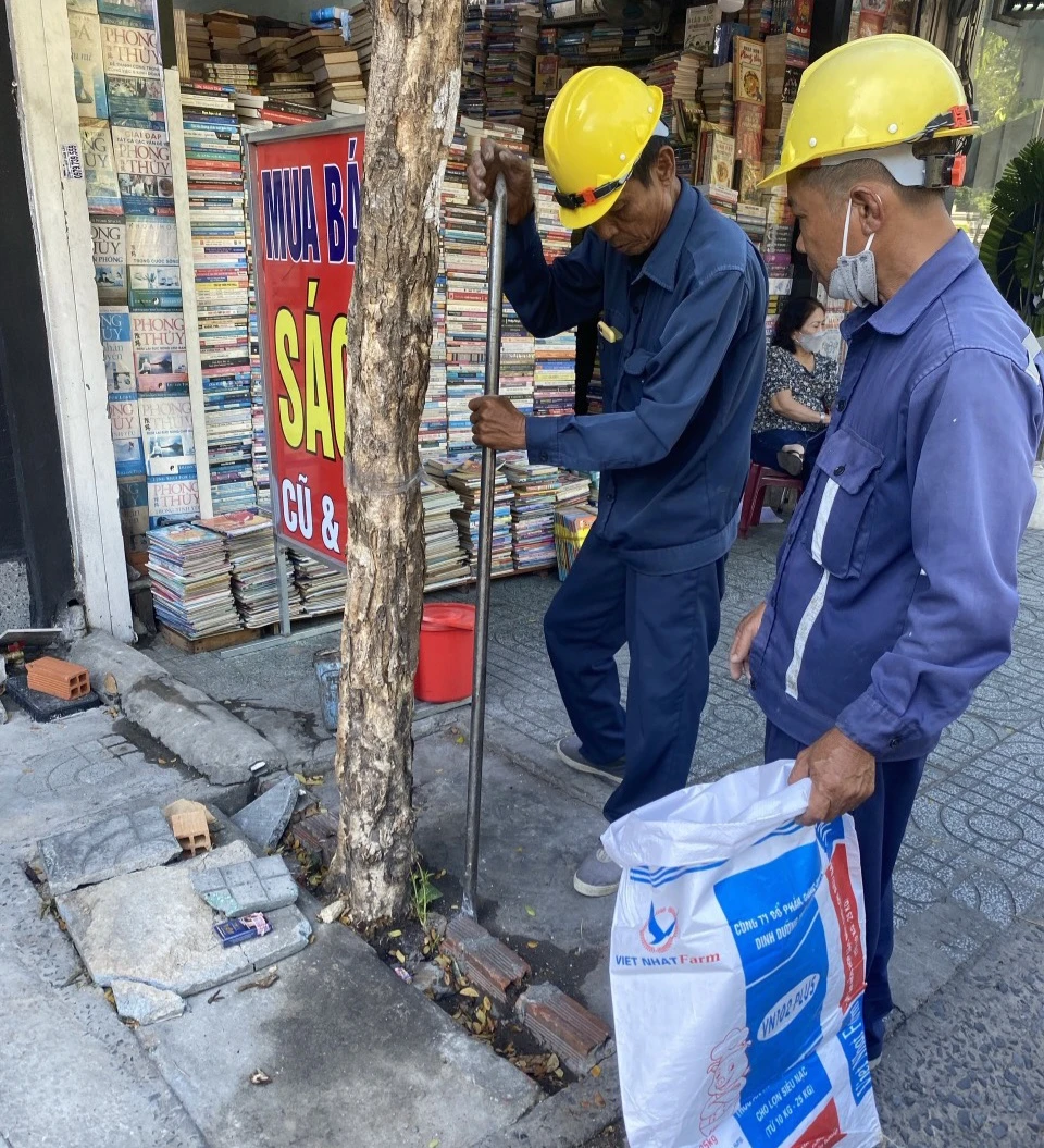 Hàng loạt cây xanh “thoi thóp”, chờ giải cứu ở TP.HCM (11).jpg