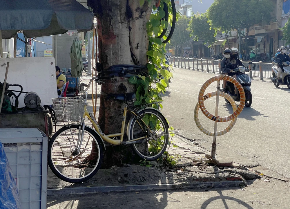 Hàng loạt cây xanh “thoi thóp”, chờ giải cứu ở TP.HCM (3).jpg