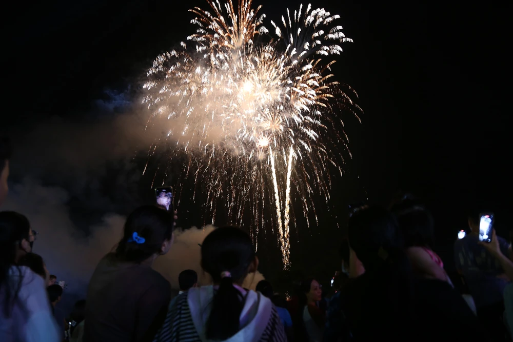 Chiêm ngưỡng màn pháo hoa mừng Quốc Khánh 2-9 ở Đồng Nai (4).JPG