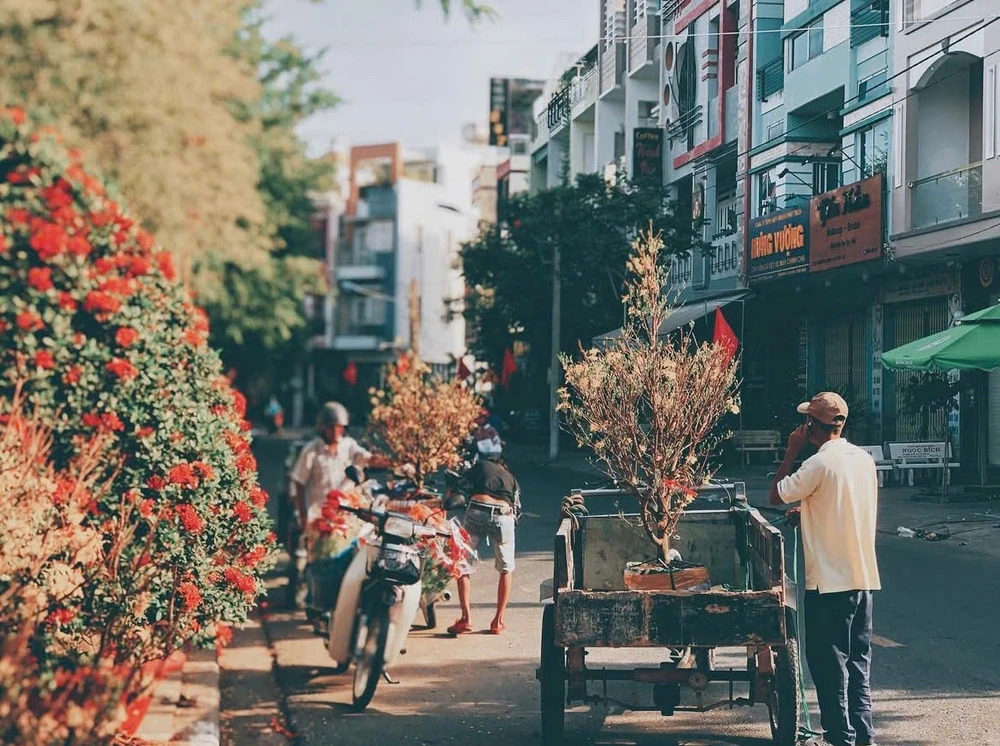 SẮC XUÂN_TRỊNH NGỌC TRÍ_Trường Đại học Giao Thông Vận Tải TP.HCM.jpg