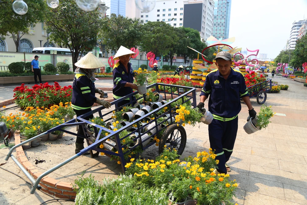 Toàn cảnh đường hoa Nguyễn Huệ Tết Ất Tỵ 2025 trước giờ khai mạc (13).JPG