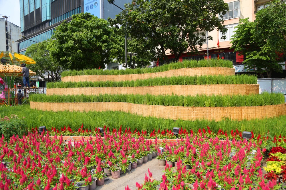 Toàn cảnh đường hoa Nguyễn Huệ Tết Ất Tỵ 2025 trước giờ khai mạc (21).JPG