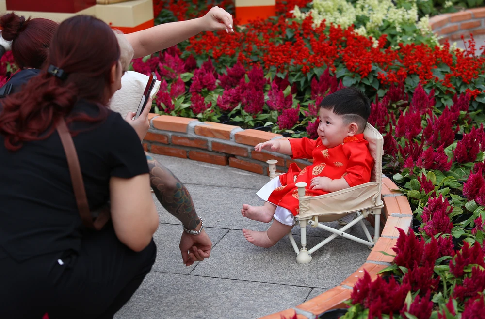 Biển người ở đường hoa Nguyễn Huệ chờ đón pháo hoa giao thừa năm Ất Tỵ 2025 (12).JPG