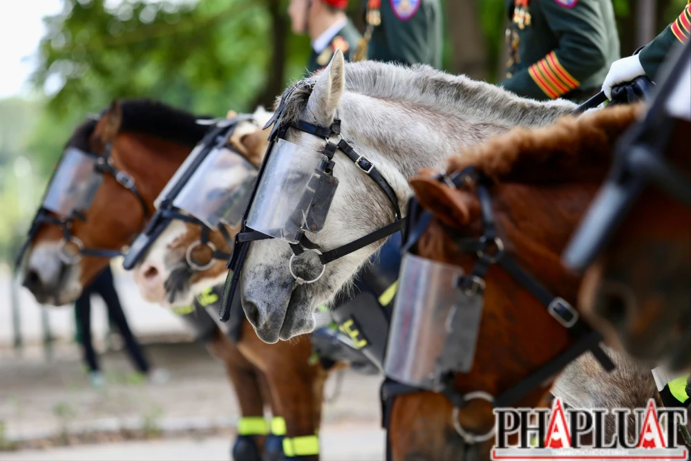 kỵ binh hợp luyện 30-4 (17).jpg