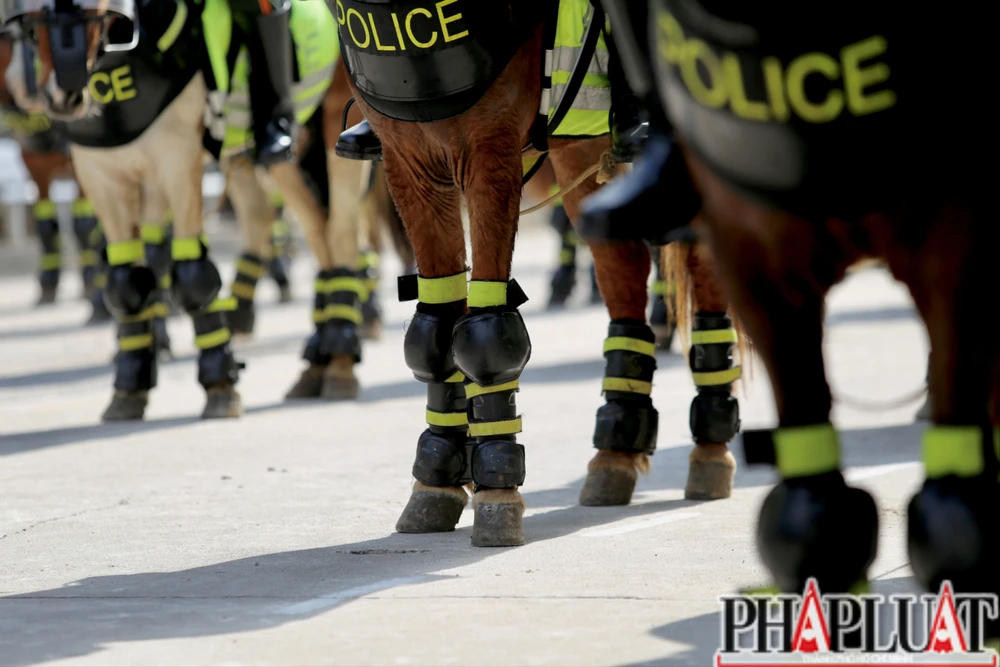 kỵ binh hợp luyện 30-4 (20).jpg