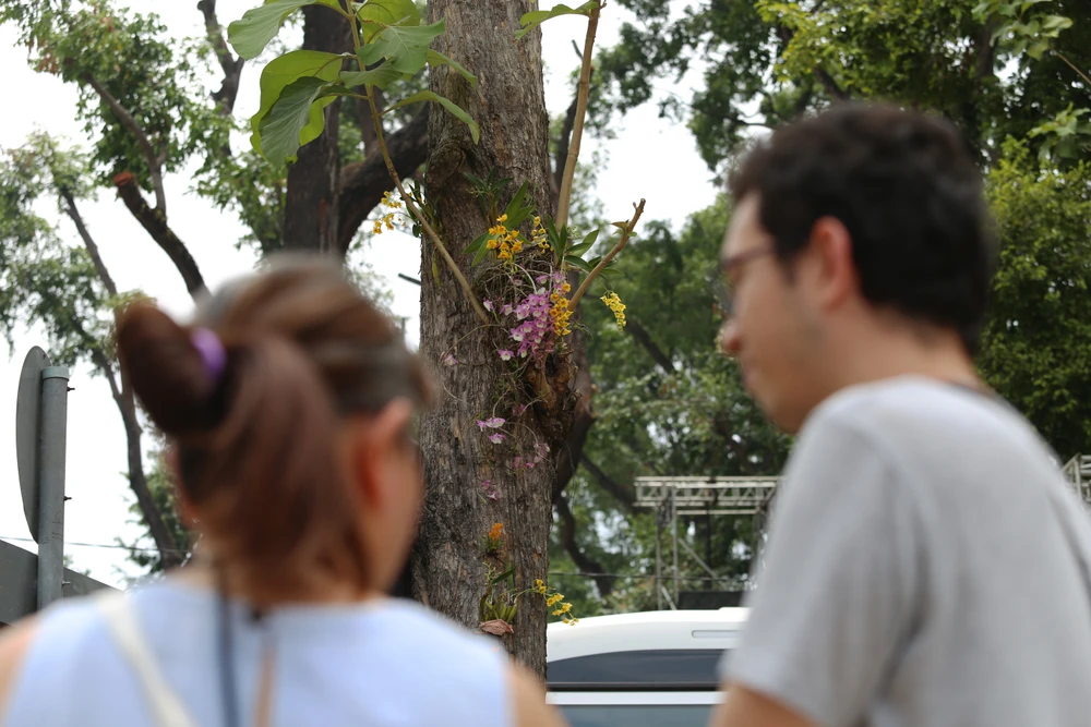 dinh độc lập (21).JPG