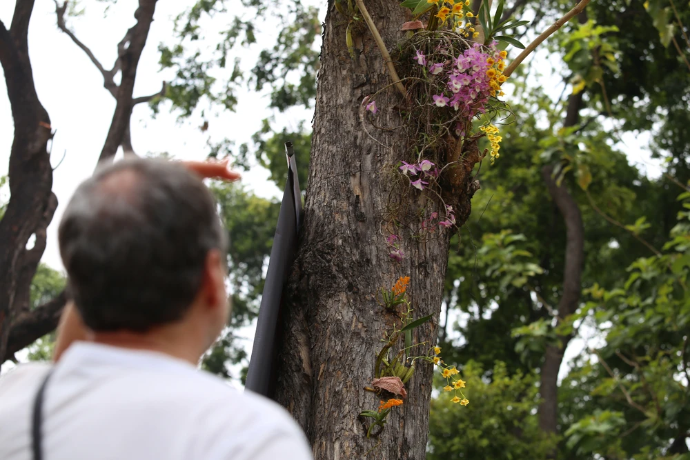 dinh độc lập (22).JPG