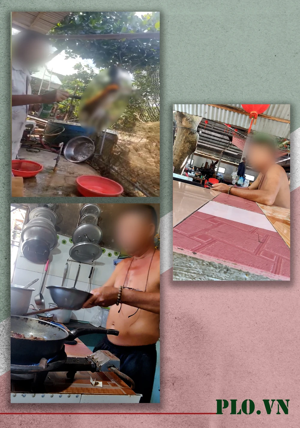 Sách đỏ Việt Nam