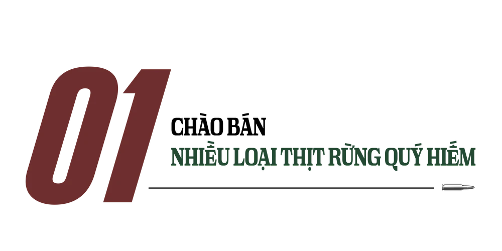 Sách đỏ Việt Nam