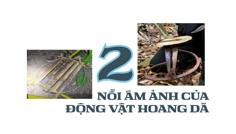 Vườn quốc gia Cát Tiên (12).png