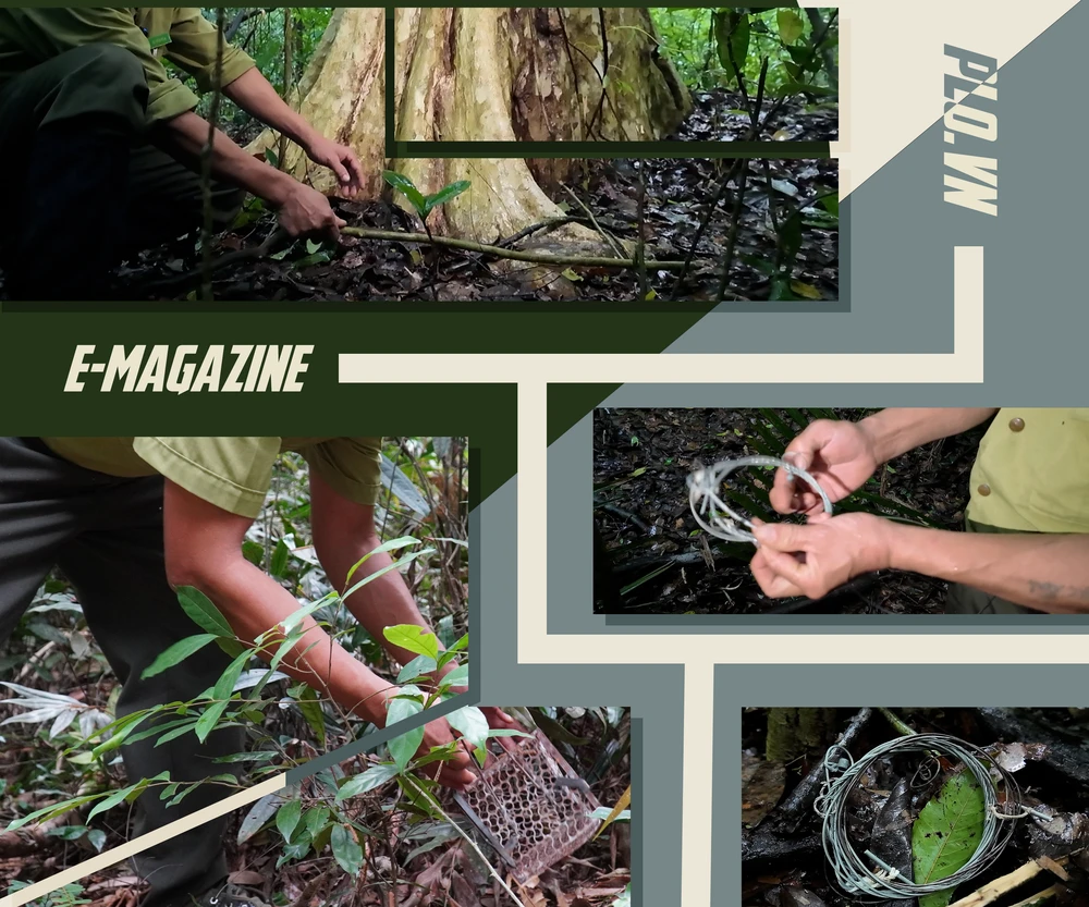 Vườn quốc gia Cát Tiên (4).png