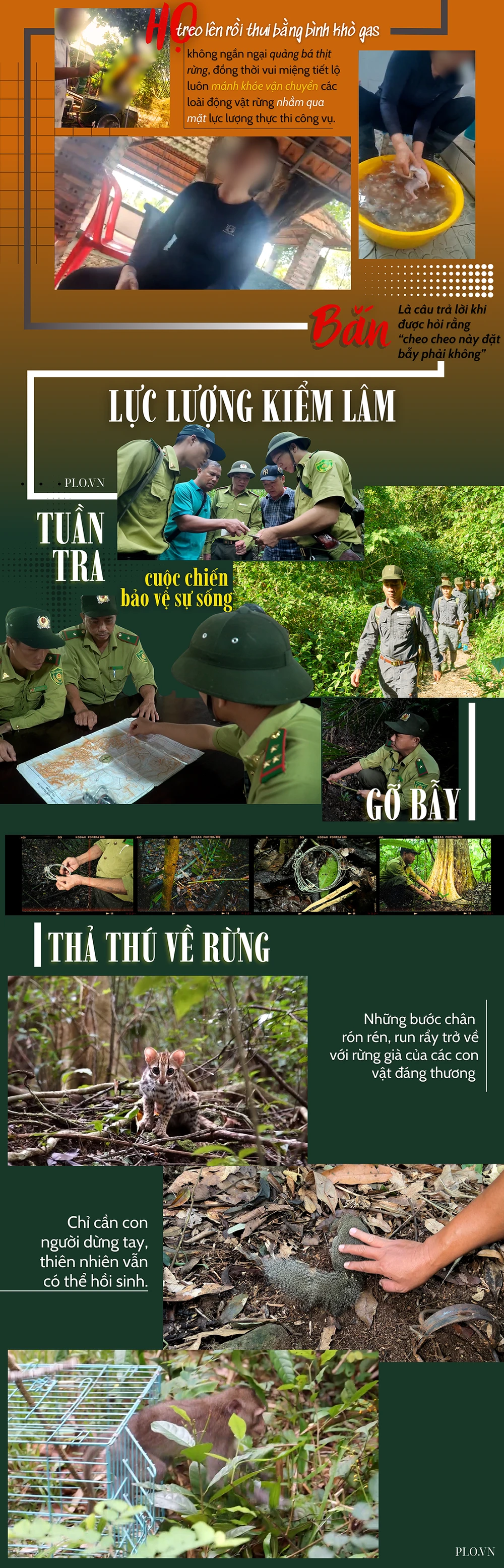 săn bắt thú rừng (3).png