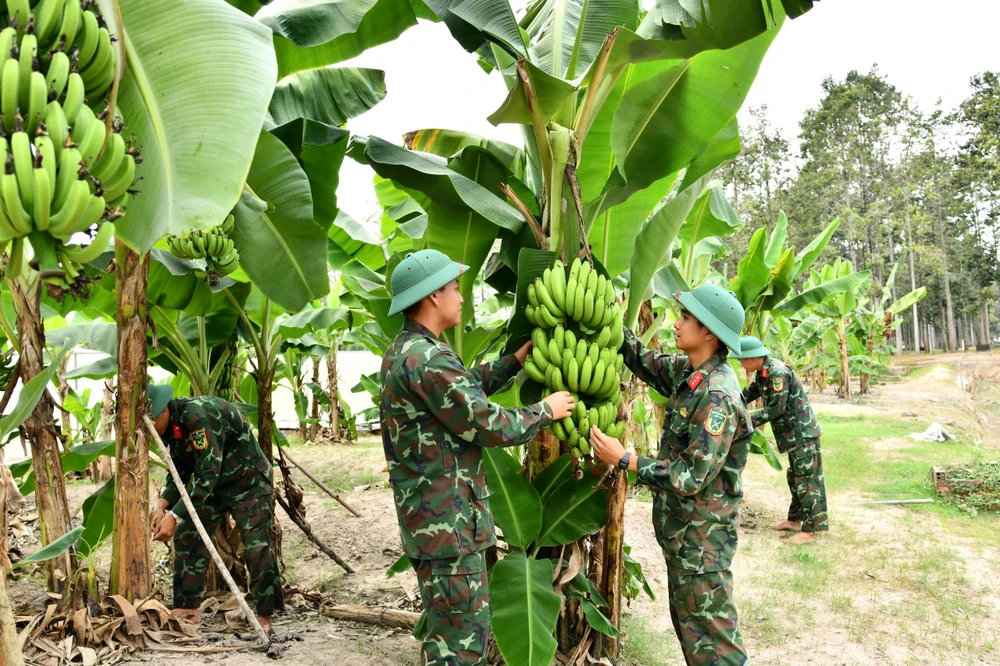 sư đoàn 9 (40).jpg