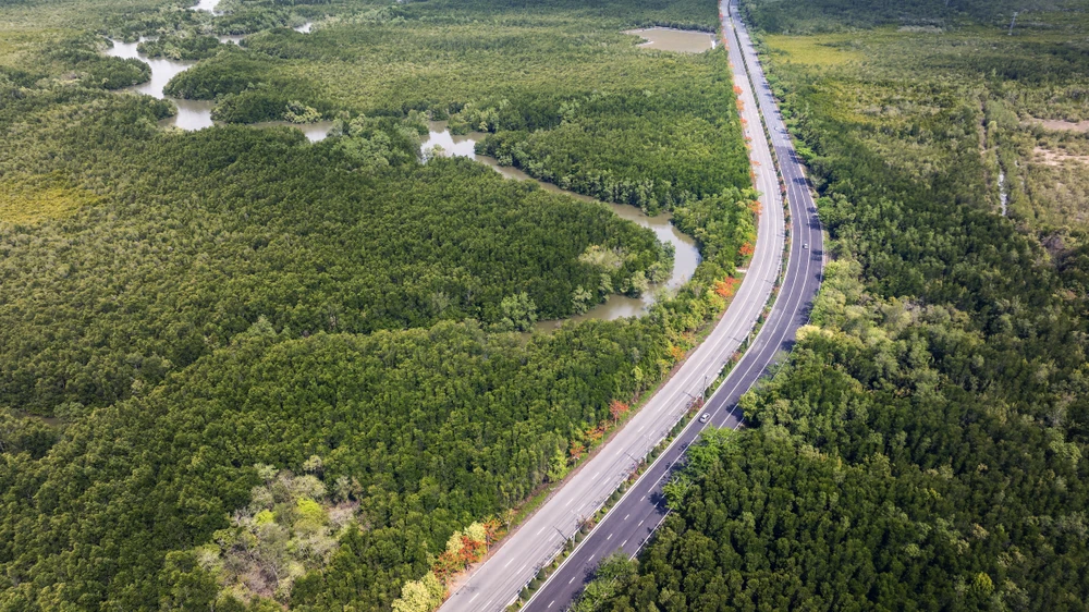 Con đường xanh ngày hè_NGUYỄN TẤN TUẤN.jpg