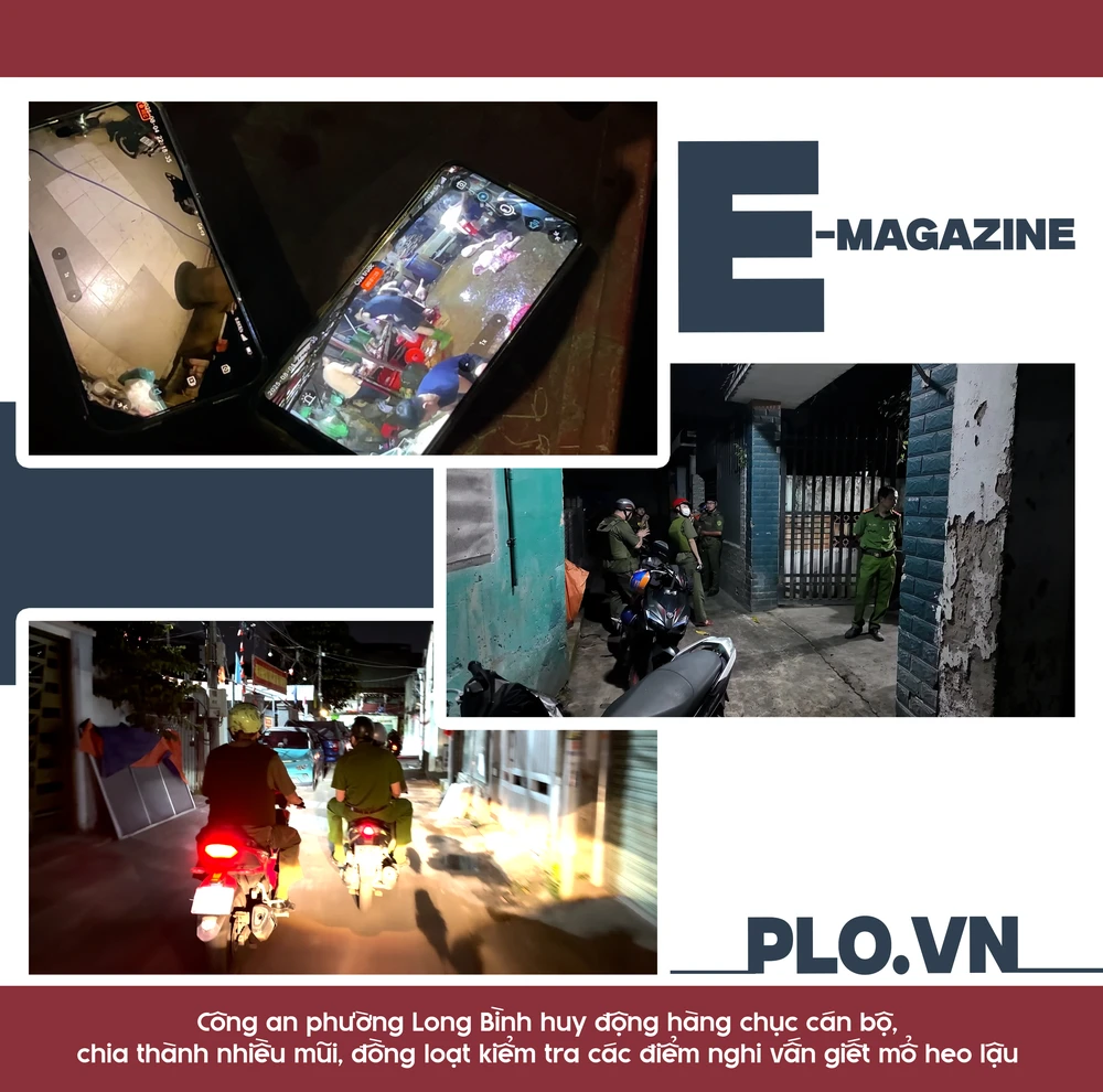 mổ heo lậu (2).png