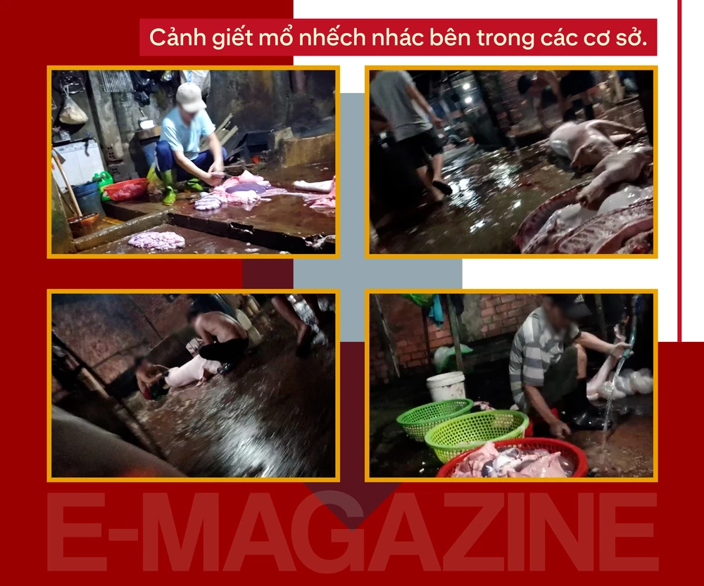 chất tạo nạc (2).png