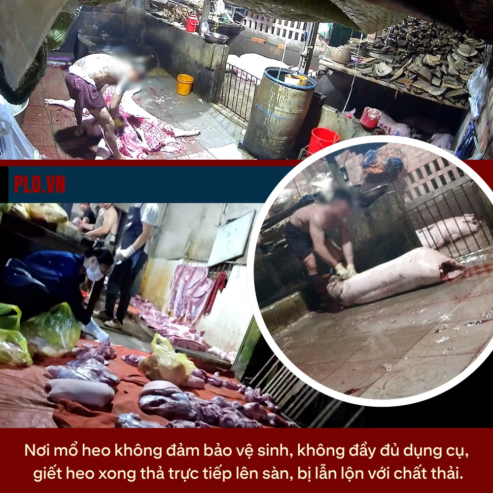 chất tạo nạc (4).png