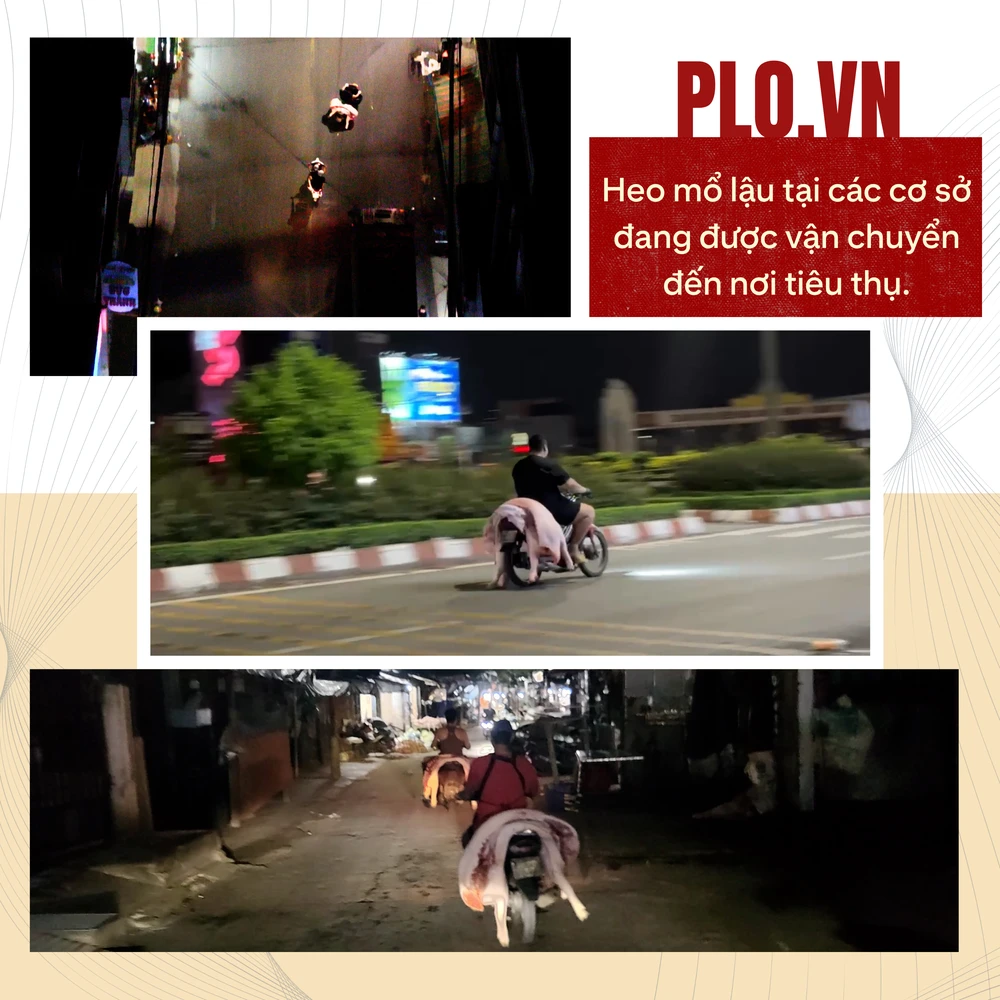 chất tạo nạc (5).png