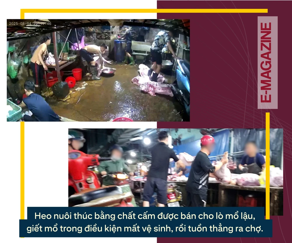 chất tạo nạc (7).png