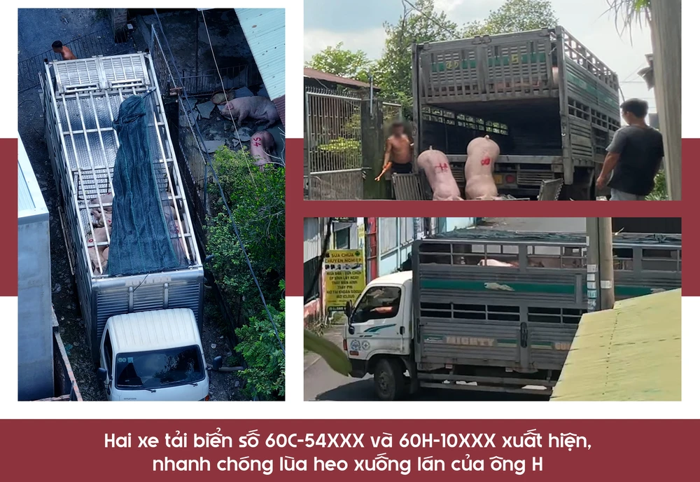 lò mổ lậu (3).png