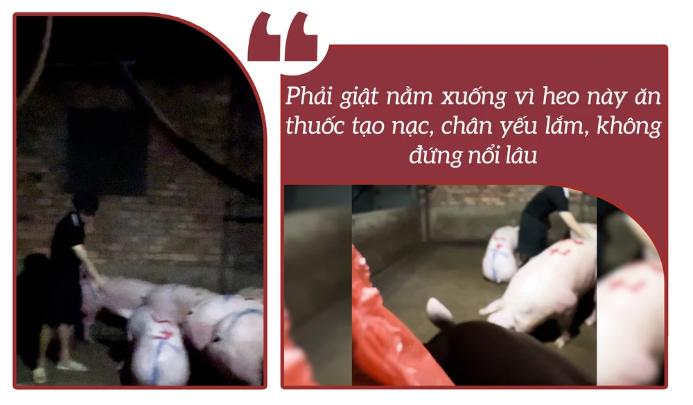 lò mổ lậu (8).png