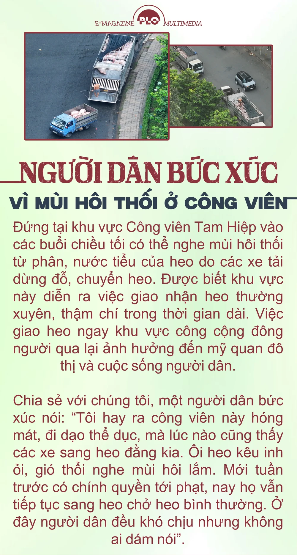 lò mổ lậu (1).png