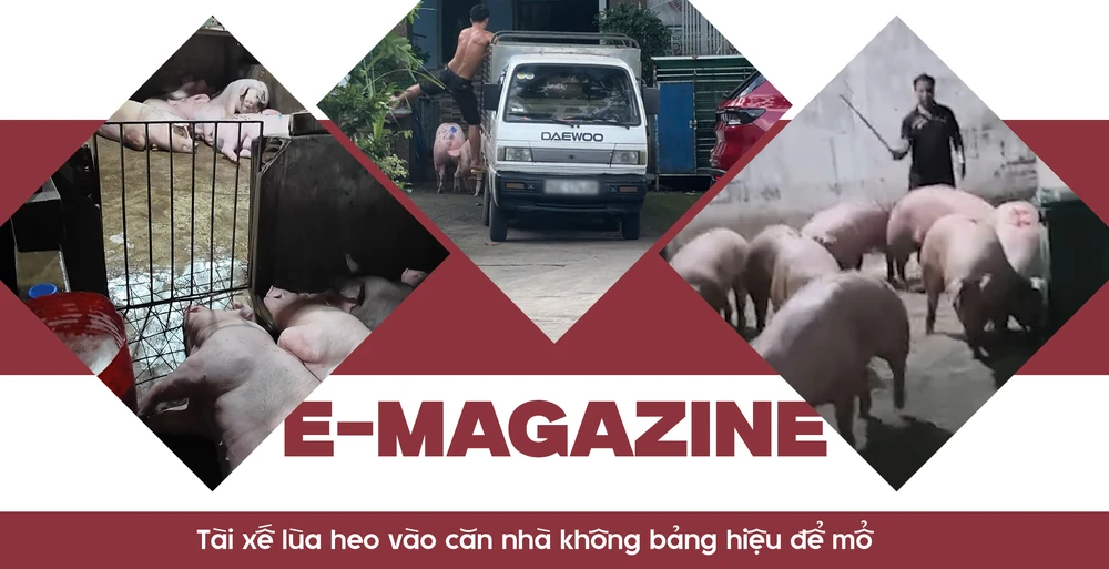 lò mổ lậu (11).png