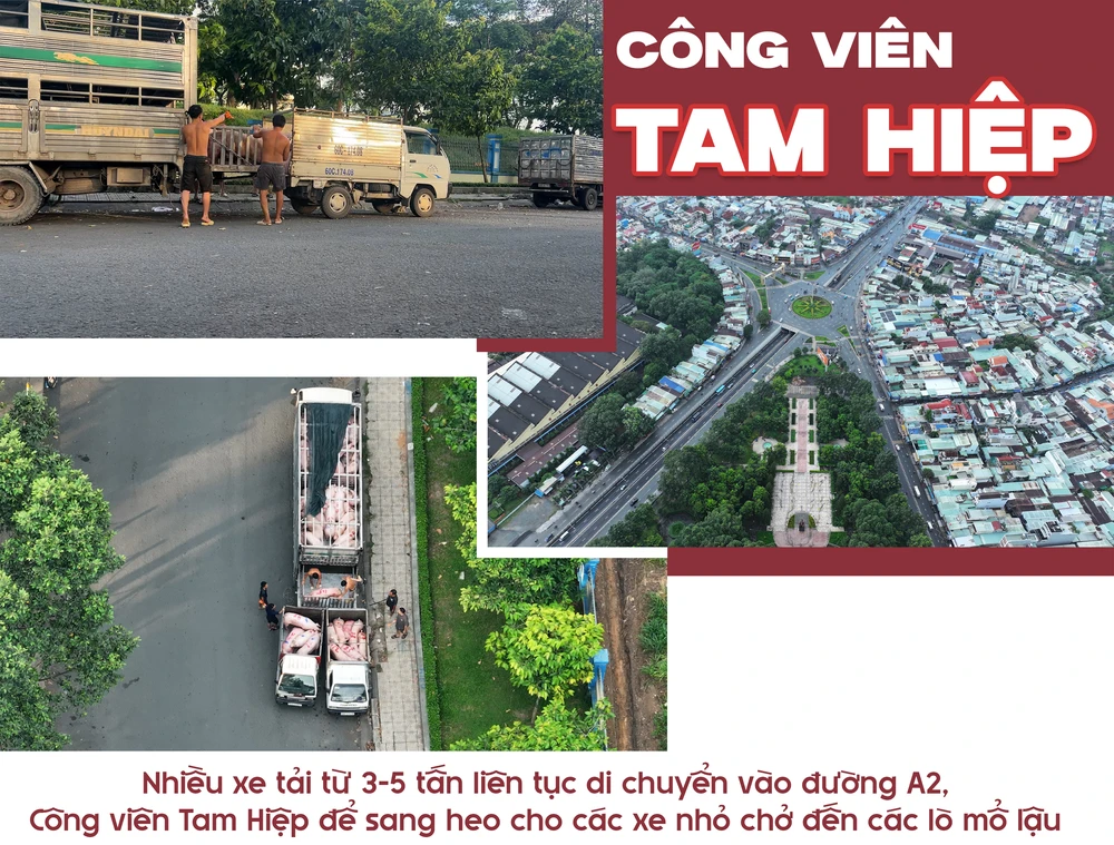 lò mổ lậu (3).png