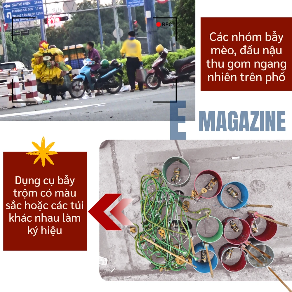 ẢNH GHÉP 13 - Các nhóm bẫy mèo, đầu nậu thu gom ngang nhiên trên phố (3-4 ẢNH) + dụng cụ bẫy trộm có màu sắc khác nhau hoặc các túi khác nhau làm ký hiệu (2-3 ẢNH).png