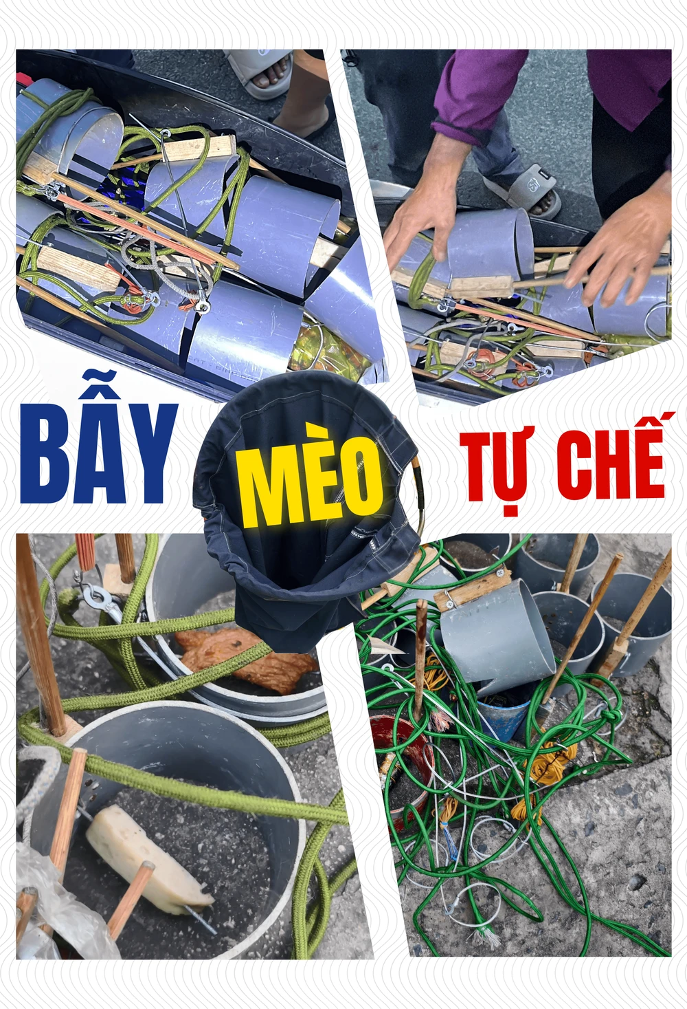 ẢNH GHÉP 3 - Hàng chục chiếc bẫy mèo tự chế, túi bắt mèo được giấu trong cốp xe, dưới yên hoặc trong bao ni long (2-3 ảnh).png