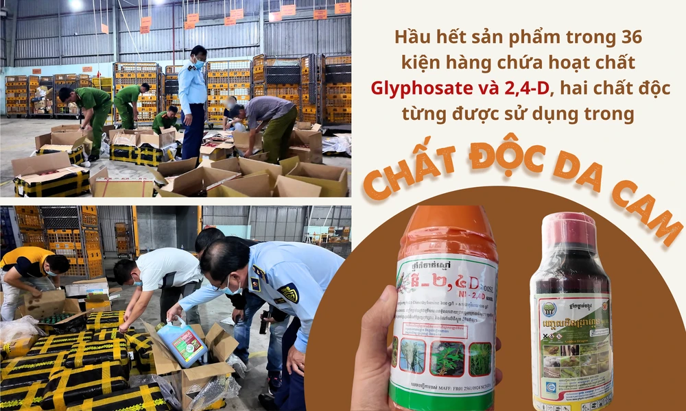 GHÉP CỤM HÌNH 11.png