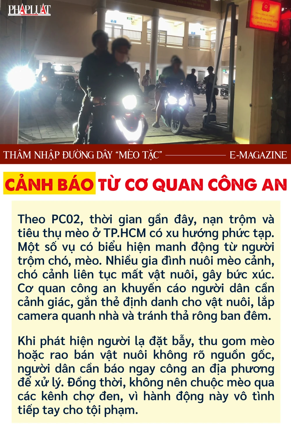 mèo tặc (2).png