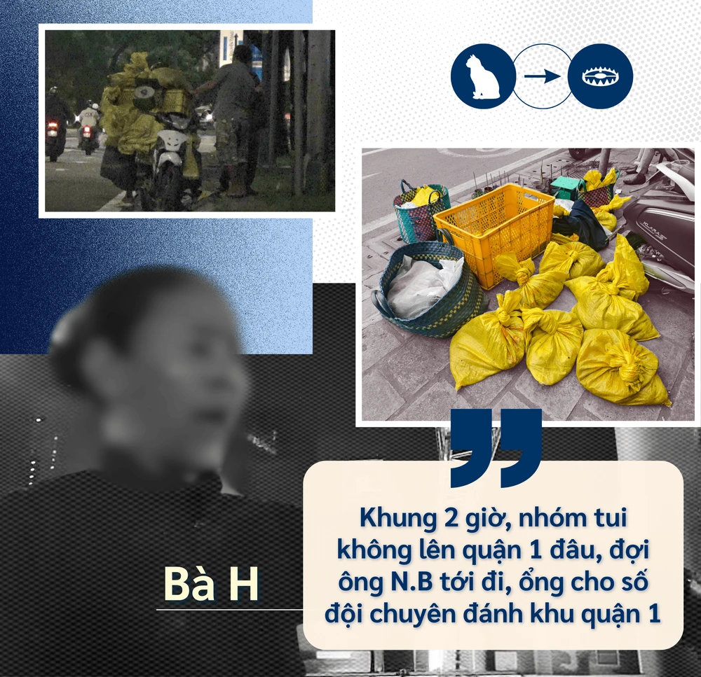 ẢNH GHÉP 6 - Chân dung bà Hân nói chuyện hoặc làm việc + Chợ mèo + Thu gom mèo + túi mèo đầy đường + trích dẫn.png