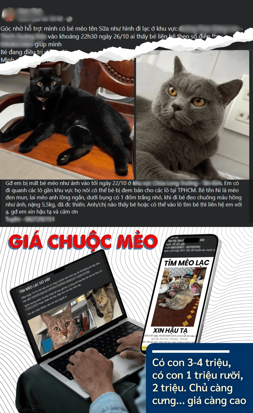 ẢNH GHÉP 7 - GHÉP CỤM HÌNH KÈM TRÍCH DẪN CHÚ THÍCH Giá chuộc mèo có con 3-4 triệu, có con 1 triệu rưỡi, 2 triệu cũng có. Chủ càng cưng thì giá càng cao.png