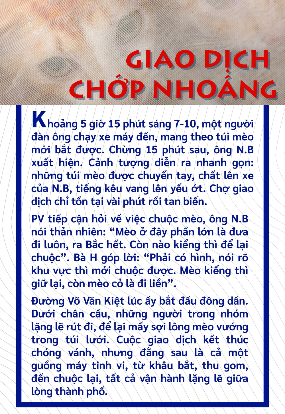 mèo tặc (3).png