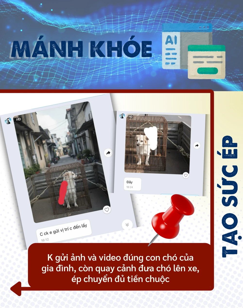 ẢNH GHÉP 2 - K gửi ảnh và clip đúng con chó của gia đình, còn quay cảnh đưa chó lên xe, ép phải chuyển đủ tiền chuộc.png