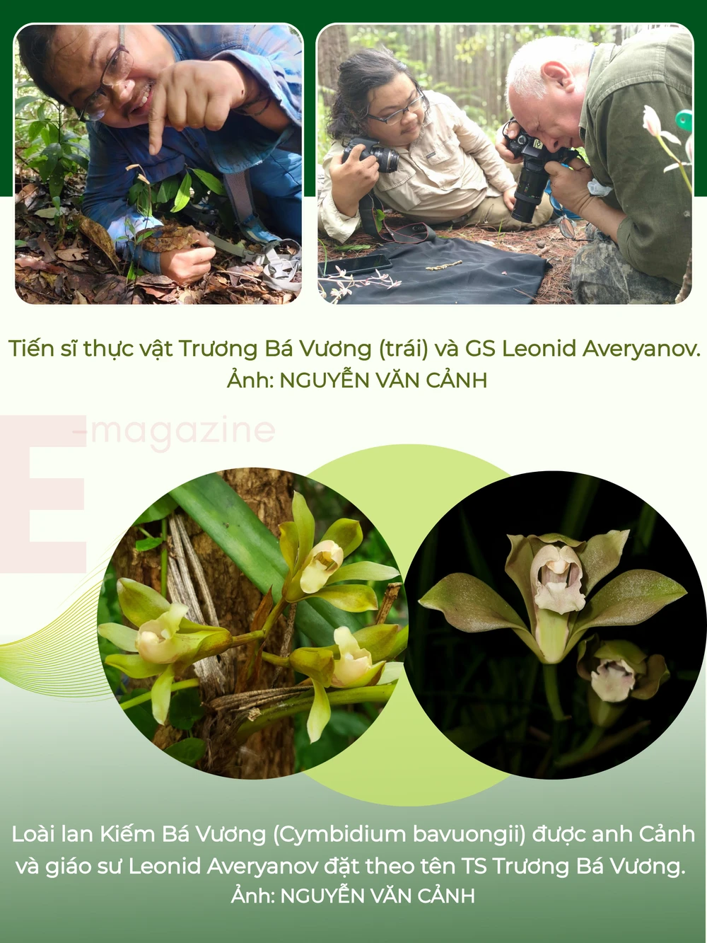 GHÉP CỤM HÌNH 3.png