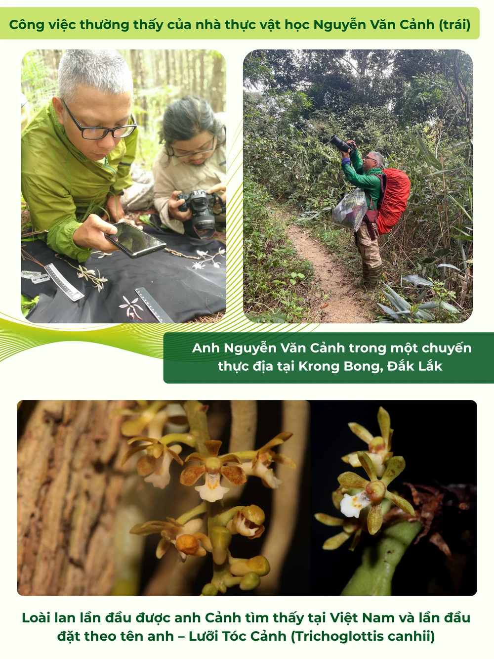 GHÉP CỤM HÌNH 4.png