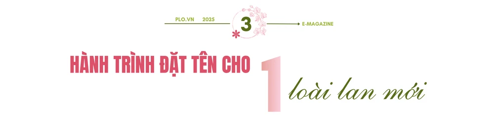 nguyễn văn cảnh.png