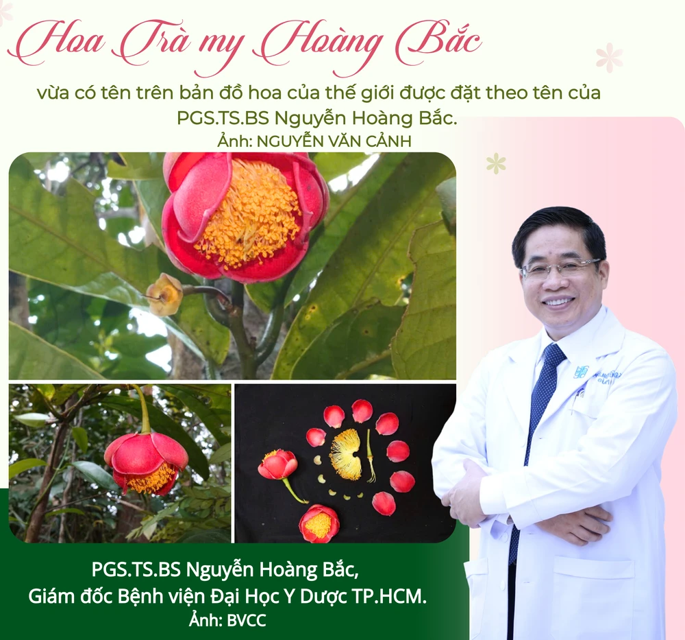 nguyễn văn cảnh (1).png