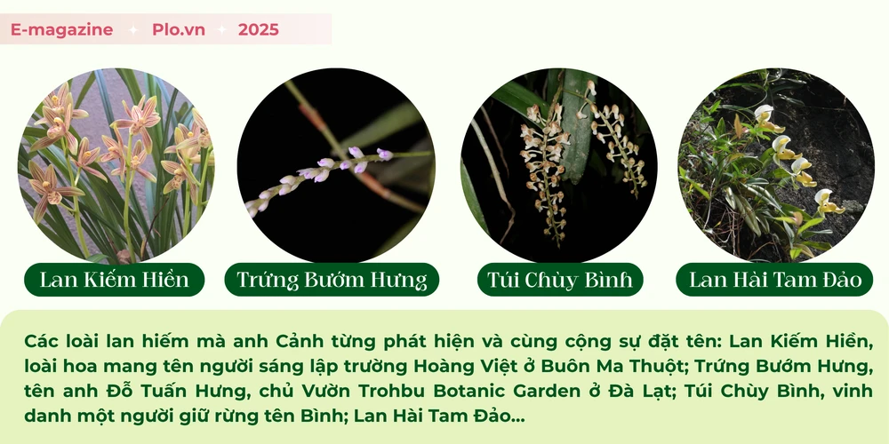 nguyễn văn cảnh (2).png