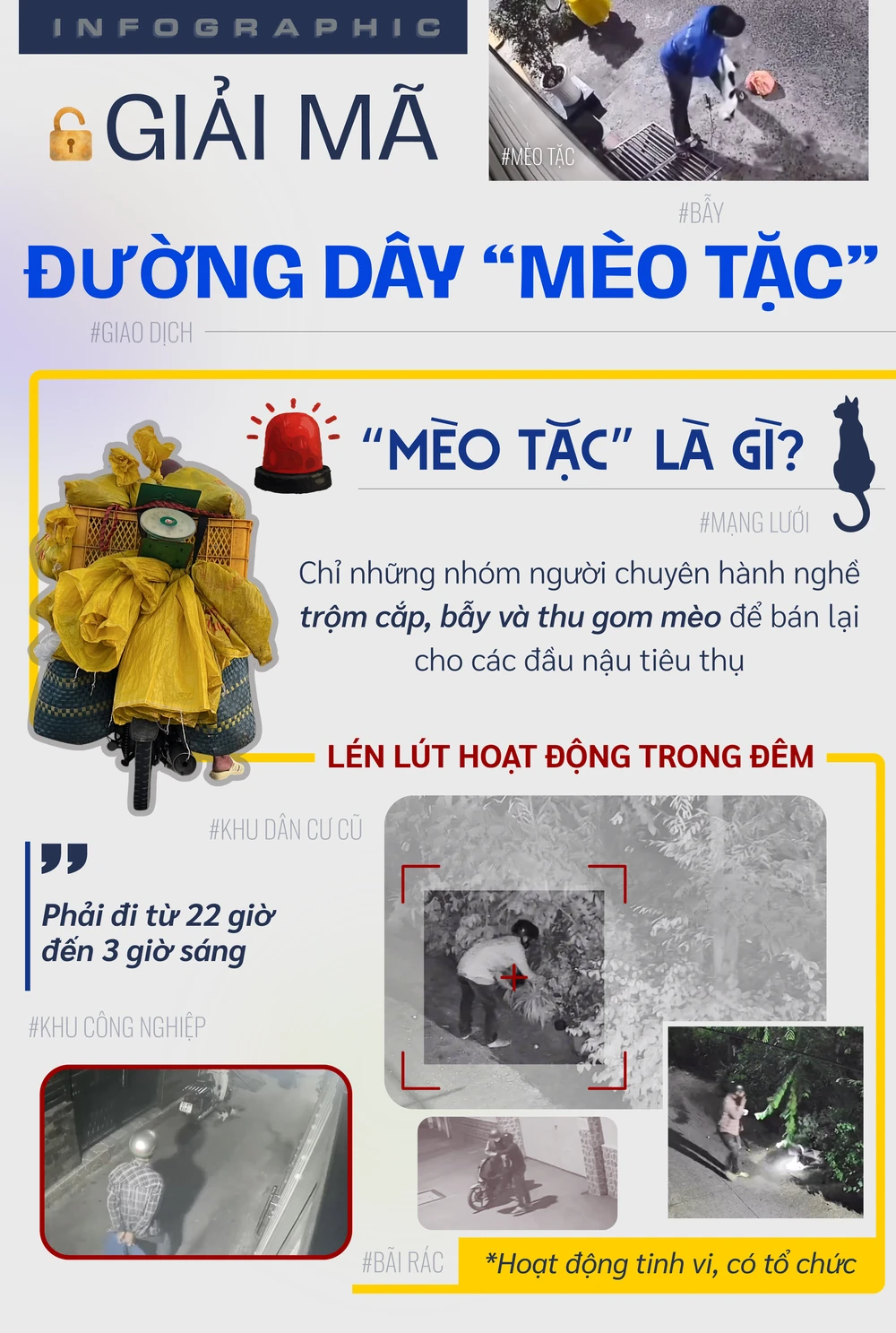 1-MÈO TẶC.png