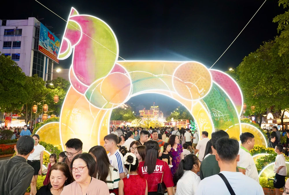 đường hoa nguyễn huệ (9).jpg