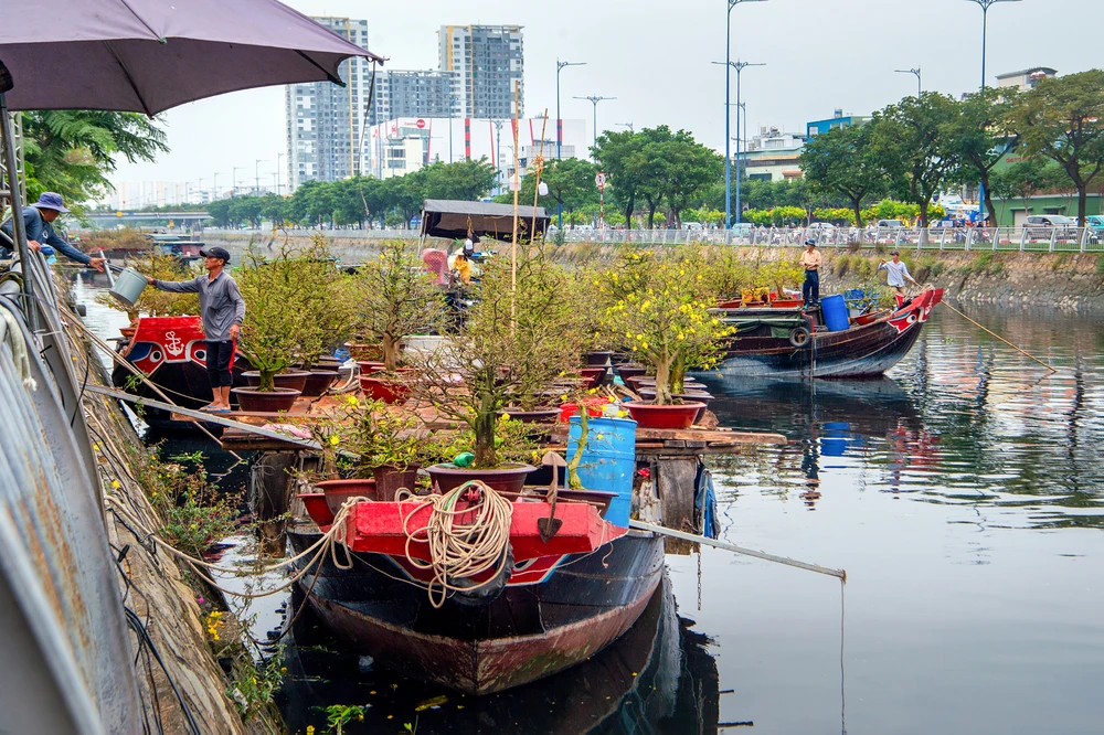 Hội hoa xuân (2).jpg