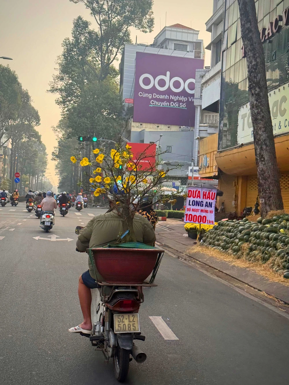 MANG XUÂN VÀO PHỐ_LÊ HẠ VIÊN.jpeg