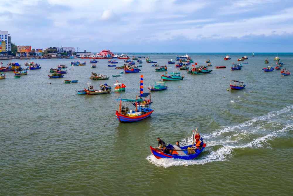 lộc biển (1).jpg